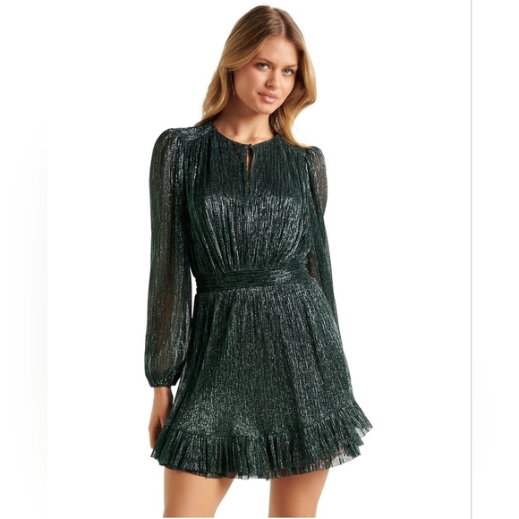 Ever New Dresses & Skirts - Ever New Goldie Long Sleeve Plisse Mini Dress null
